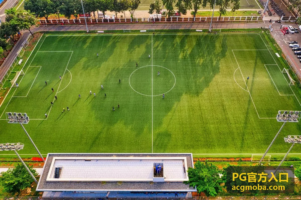 PG官方入口访问安全答疑的核对步骤示意