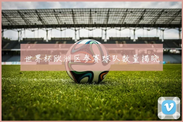 世界杯欧洲区参赛球队数量揭晓