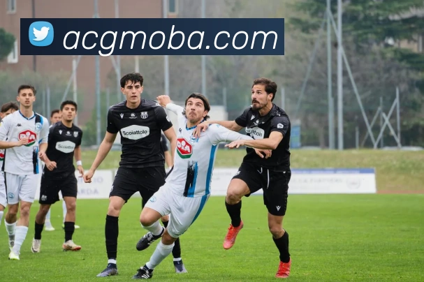 世界杯app官网平台生态图