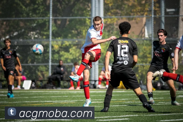 世界杯app官网全站App